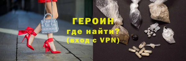 дживик Няндома