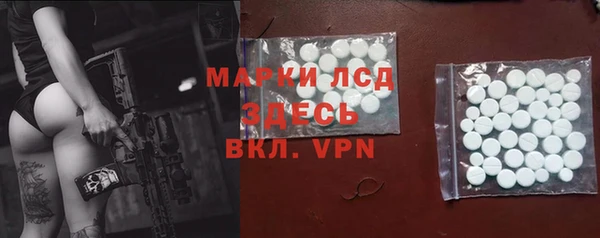 стаф Осинники