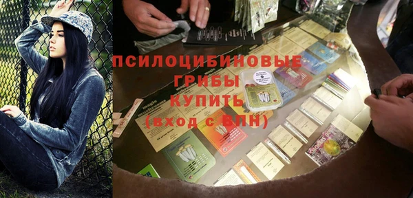 дживик Няндома