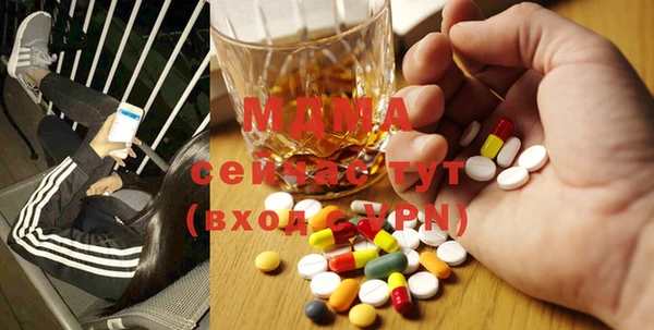 дживик Няндома