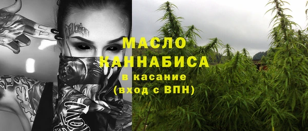 стаф Осинники
