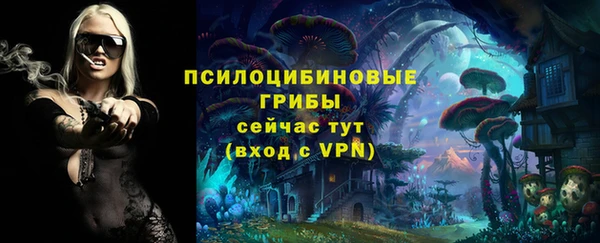 дживик Остров