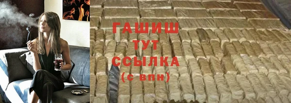 дживик Няндома