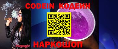 гашик Гатчина