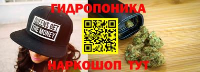 гашик Гатчина