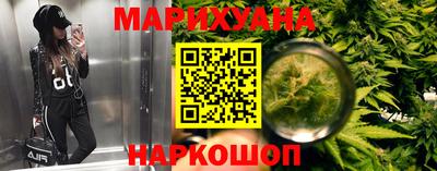 гашик Гатчина