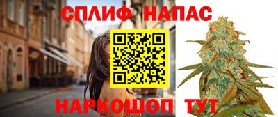 PSILOCYBIN Бийск