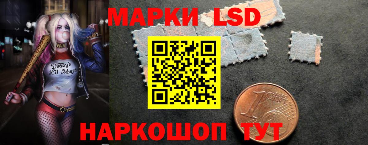 Кингисепп  Лсд 25 экстази ecstasy  omg зеркало  LSD-25 экстази кислота  Вход с VPN 