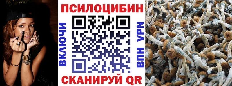 Галлюциногенные грибы Magic Shrooms  купить  цена  Кингисепп 