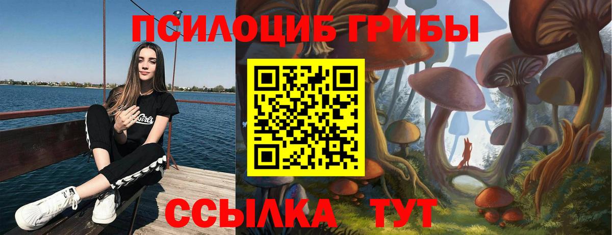 Галлюциногенные грибы Cubensis Кингисепп
