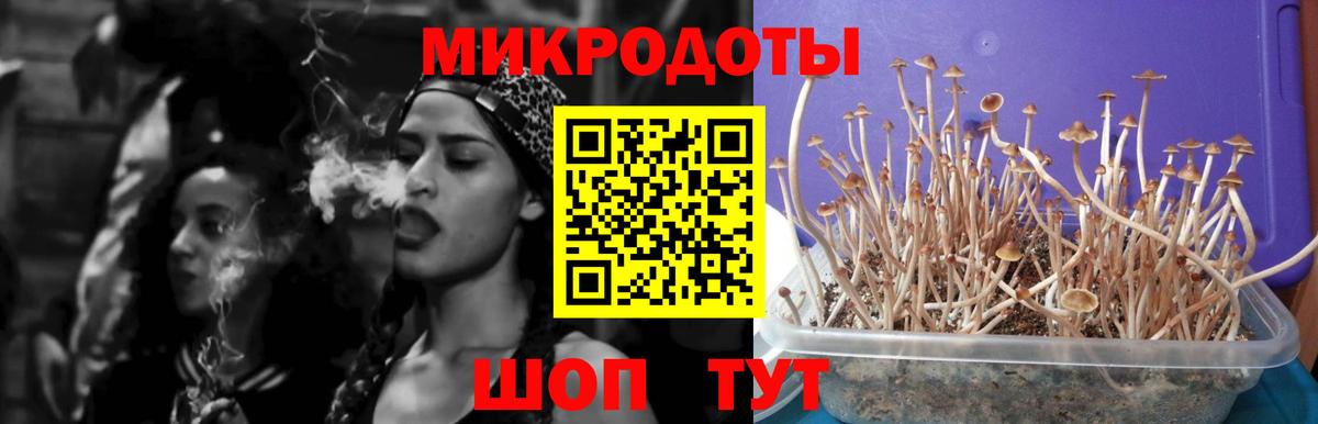 Галлюциногенные грибы MAGIC MUSHROOMS  Кингисепп  Галлюциногенные грибы Cubensis 