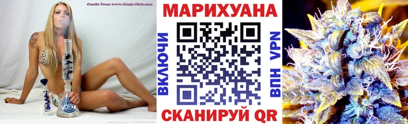 mega хочу Кингисепп Бошки марихуана SATIVA & INDICA